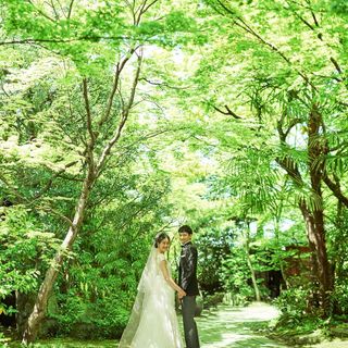 ザソウドウヒガシヤマキョウト その他の写真2を大きいサイズでみる