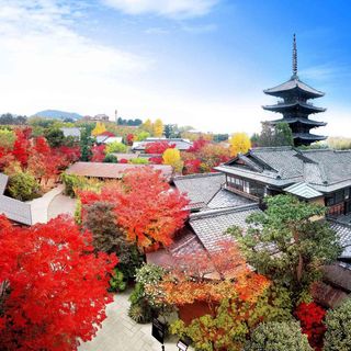 ザソウドウヒガシヤマキョウト その他の写真3を大きいサイズでみる