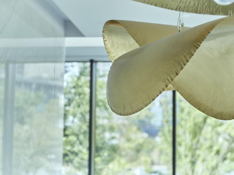 THE JACKSON GARDEN 本物とトレンドが融合した、センスが光る空間美の画像4