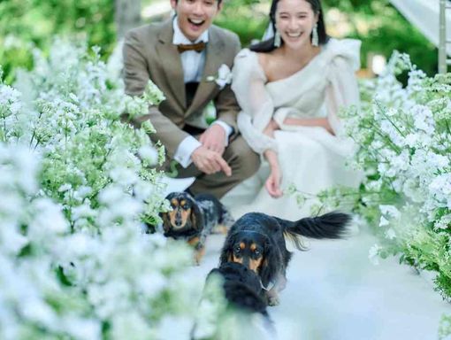 THE JACKSON GARDEN 挙式も披露宴もワンちゃんOK♪の画像3