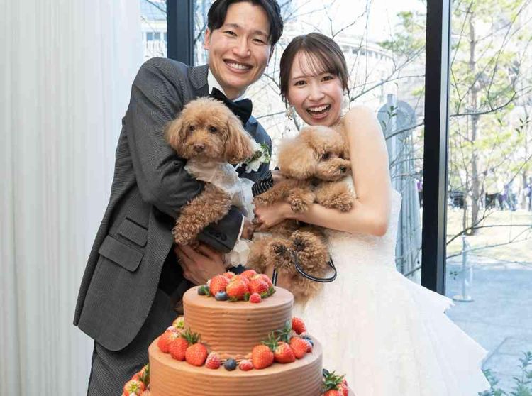 THE JACKSON GARDEN その一日は、誰かが決めた「定番」から自由になる日の画像3