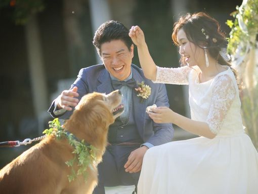 KASANE HIROSHIMA 愛犬と共に素敵な記念日をの画像2