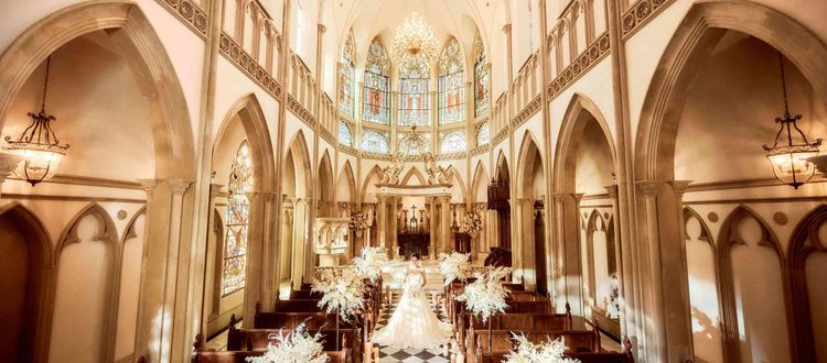 グラストニア ギフト最大2万×豪華3万試食×ドレスなど最大130万優待の画像