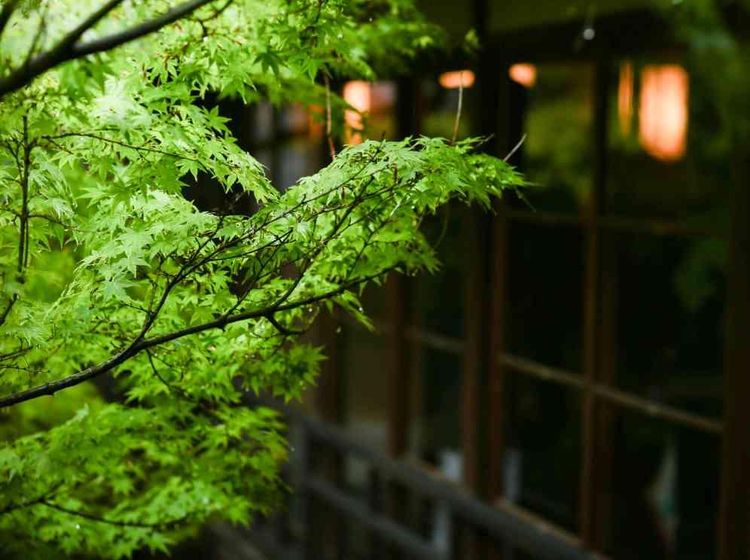  八勝館 歴史と伝統のある料亭八勝館だからこそ叶えられる結婚式の画像4