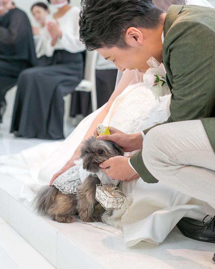 VIP新潟 お２人の大切なテーマを結婚式に生かしますの画像1