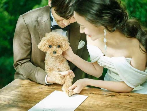 WeGreen RESORT ペット婚にも柔軟に対応！の画像3