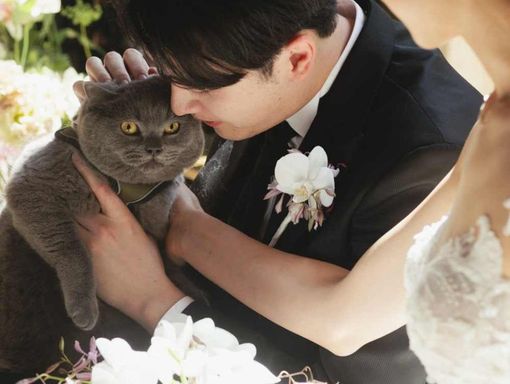 ジャスマック八雲 ペットはネコちゃんもOK!の画像3