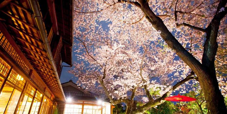 北野異人館 旧ハンター邸 【新神戸駅・三宮駅からもすぐ】伝統が息づく特別な世界の画像2