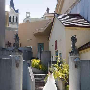 ブルーミントンヒル 屋外で開放的なウエディングフォトを残そう