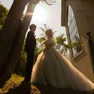 ブルーミントンヒル 木漏れ日が降り注ぐ大きな木の下で、かけがえのない瞬間を、この一枚に閉じ込めて。