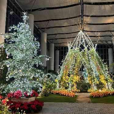 グランドニッコー淡路 クリスマスシーズンには煌びやかな光に包まれ幻想的な空間を演出★