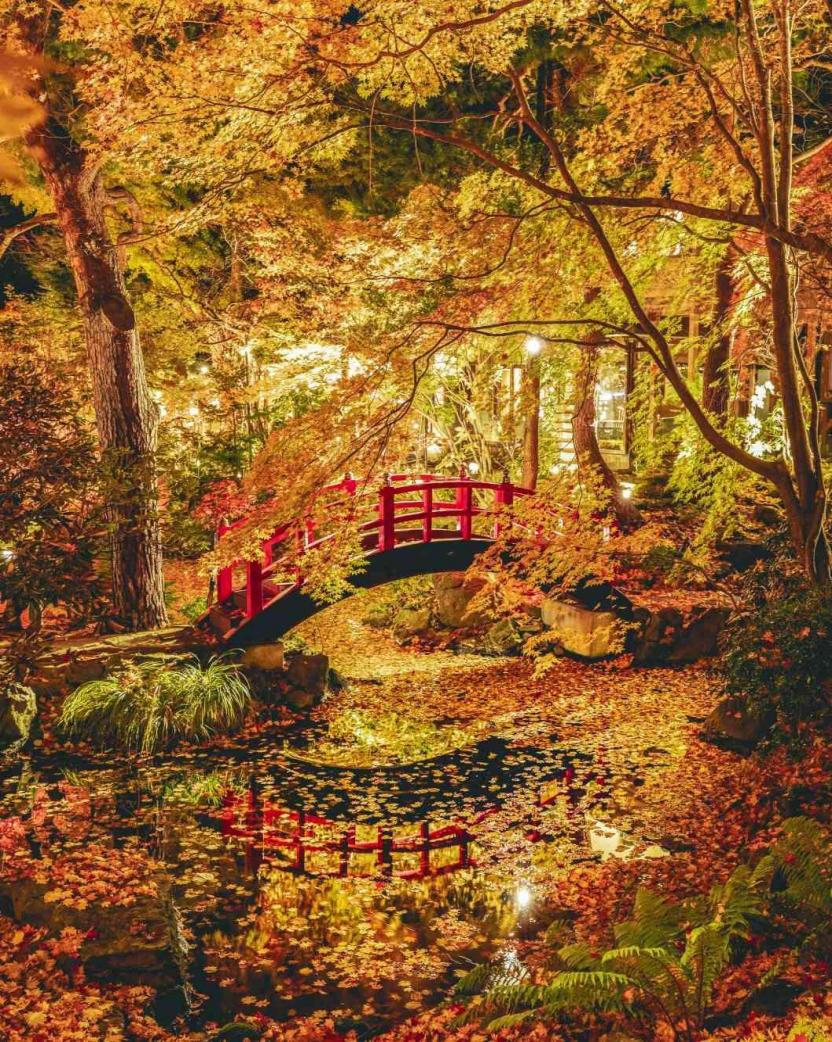 エルムガーデン ガーデン