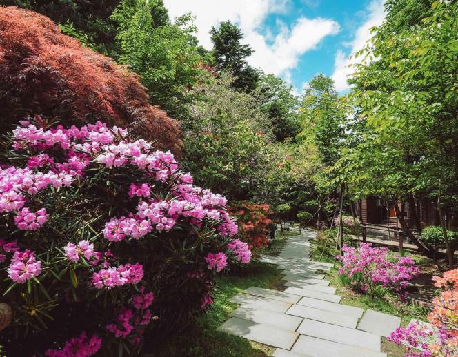 エルムガーデン ガーデン