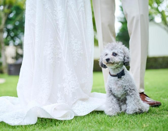 ヒルサイドクラブ迎賓館（札幌）/テイクアンドギヴ・ニーズウェディング ガーデン