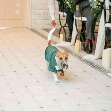 プライベートリゾートカリメーラ 愛犬と誓う特別な時。リングドッグ演出も叶う場所。