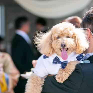 プライベートリゾートカリメーラ 愛犬とウエディング