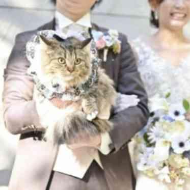 猫ちゃんも挙式参加可能◎