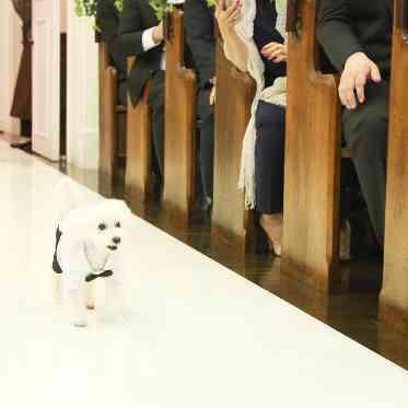 定禅寺ガーデンヒルズ迎賓館/FIVESTAR WEDDING 貸切だからこそ、わんちゃんのリングドッグも叶う！挙式後は近隣のペットサロンに預け