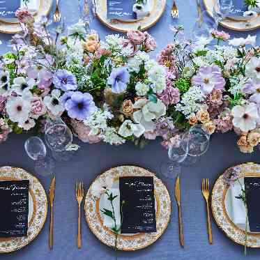 SORANOWA (ソラノワ) アレイズ