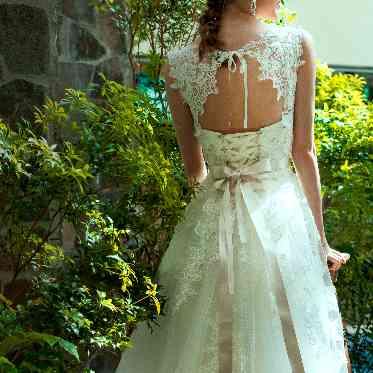 アールベルアンジェAkita 