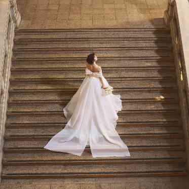 アールベルアンジェAkita Sophie