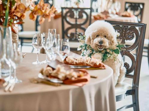 アーククラブ迎賓館（郡山）/テイクアンドギヴ・ニーズウェディング 披露宴会場