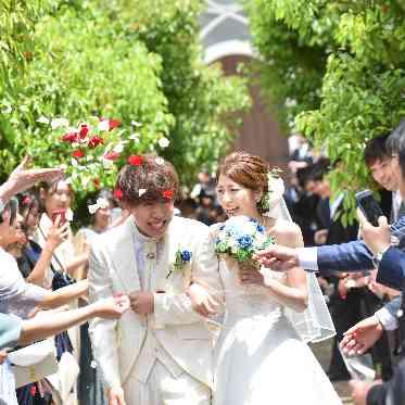 アンシャンテ/アルシェ 新緑のコントラスト