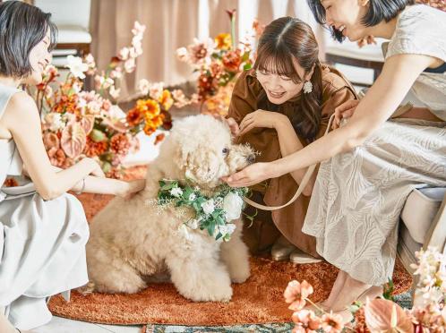 アーヴェリール迎賓館（富山）/テイクアンドギヴ・ニーズウェディング 披露宴会場