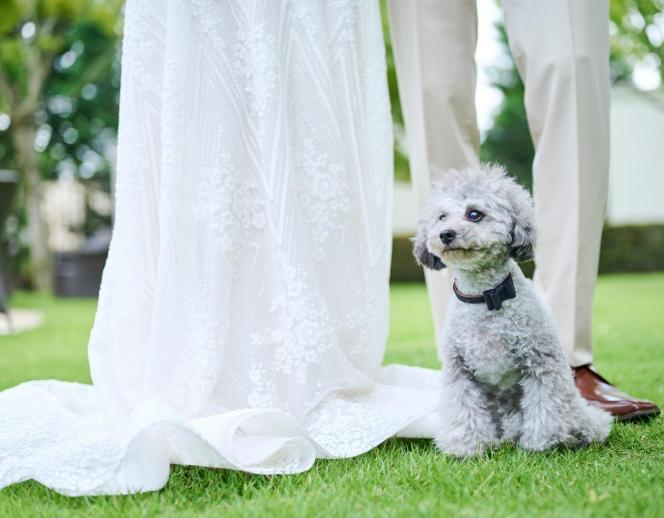 アーヴェリール迎賓館（富山）/テイクアンドギヴ・ニーズウェディング ガーデン