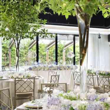 DESTINO BROOKLYN NEW YORK(ディスティーノ ブルックリン ニューヨーク) 森をイメージして天井にそびえるように木を配置