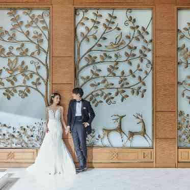 ララシャンス 太陽の丘 自然光に照らされて