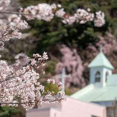 金沢国際ホテル 桜
