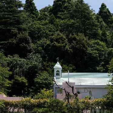 金沢国際ホテル 新緑時期