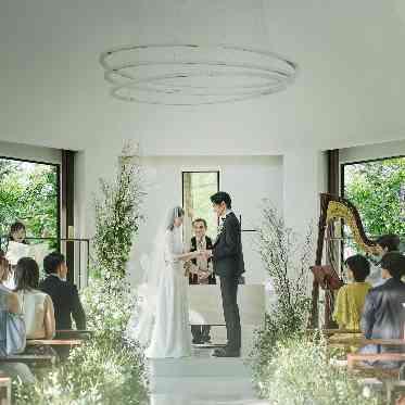 旧軽井沢KIKYOキュリオ・コレクションbyヒルトン 緑に包まれた空間でゲストひとりひとりの胸に刻まれる時間。