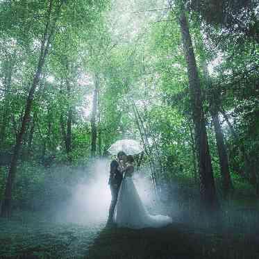 ANELLI軽井沢(アネーリ軽井沢) 霧に囲まれた森。雨の軽井沢が一番美しい。