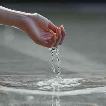 プリムローズガーデン 森と水の教会 チャペル