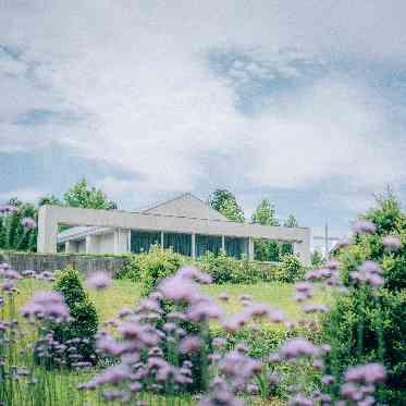 プリムローズガーデン 森と水の教会 ガーデン