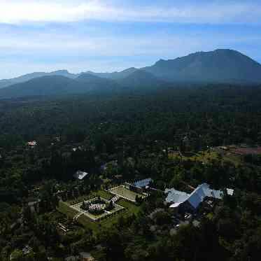 プリムローズガーデン 森と水の教会 ガーデン