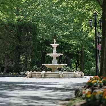 プリムローズガーデン 森と水の教会 ガーデン