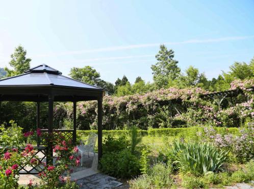 プリムローズガーデン 森と水の教会 ガーデン