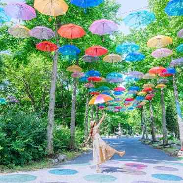 プリムローズガーデン 森と水の教会 色とりどりの傘が彩る1カ月
