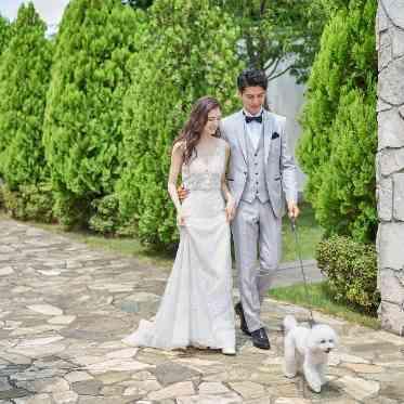 ニーズ徳島 by T&G WEDDING 