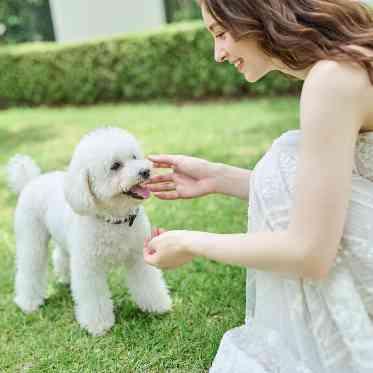 ニーズ徳島 by T&G WEDDING(旧 ヒルサイドクラブ迎賓館 徳島) ペットの愛犬や愛猫と過ごせるペットウエディングも人気