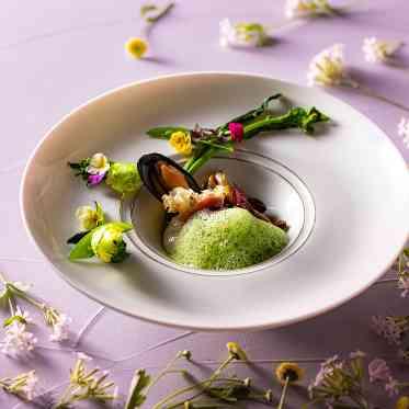 【春-Spring-】芽吹きの春。山菜のムースをあしらった前菜をご用意