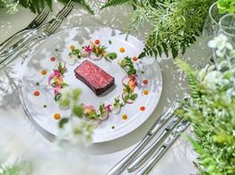 ベイスイート桜島テラス 料理の写真4