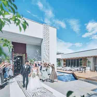 ザ・ピーク プレミアムテラス 祝福のフラワーシャワー