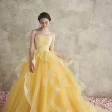 フェアブルーム水戸アメイジングステージ 【新作続々】カラードレス