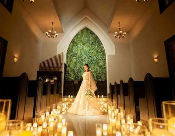 エヴァウイン ドレス・衣装の写真2