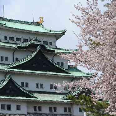 神楽家 (かぐらや) 形にとらわれないオリジナルな挙式【名古屋城茶室/人数・料金はお問合せにて】