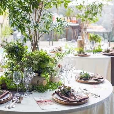 AILES FORTUNA (エール・フォルトゥーナ) ナチュラルな雰囲気が人気